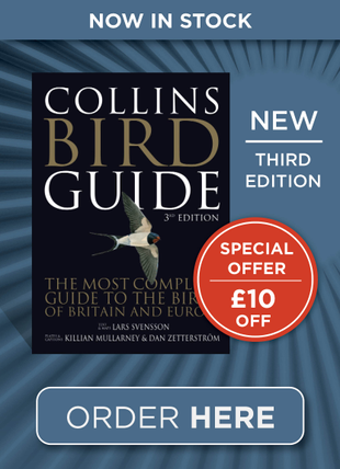 Collins Bird Guide (New Edition)