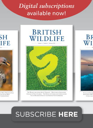 British Wildlife Magazine