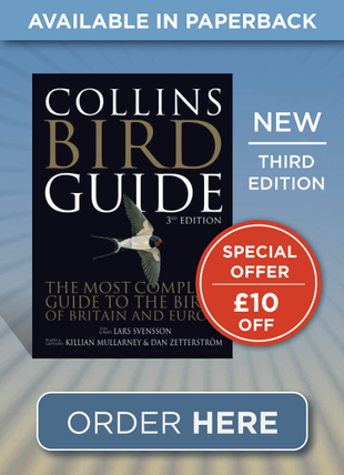 Collins Bird Guide