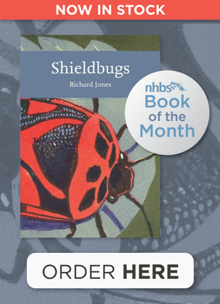 Shieldbugs