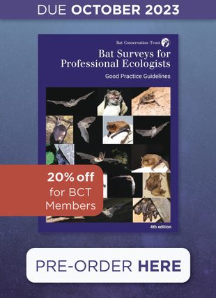 Bat Surveys for Professional Ecologists