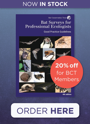 weather to travel climate guides Bat Surveys for Professional Ecologists