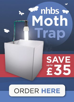 NHBS Moth Trap