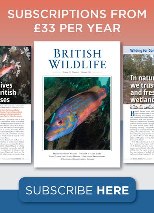 British Wildlife Magazine
