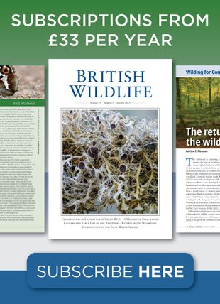 British Wildlife Magazine