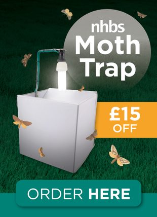 NHBS Moth Trap