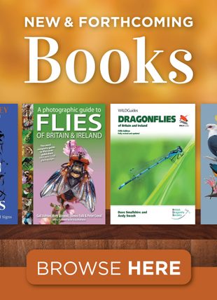 New and Forthcoming Books