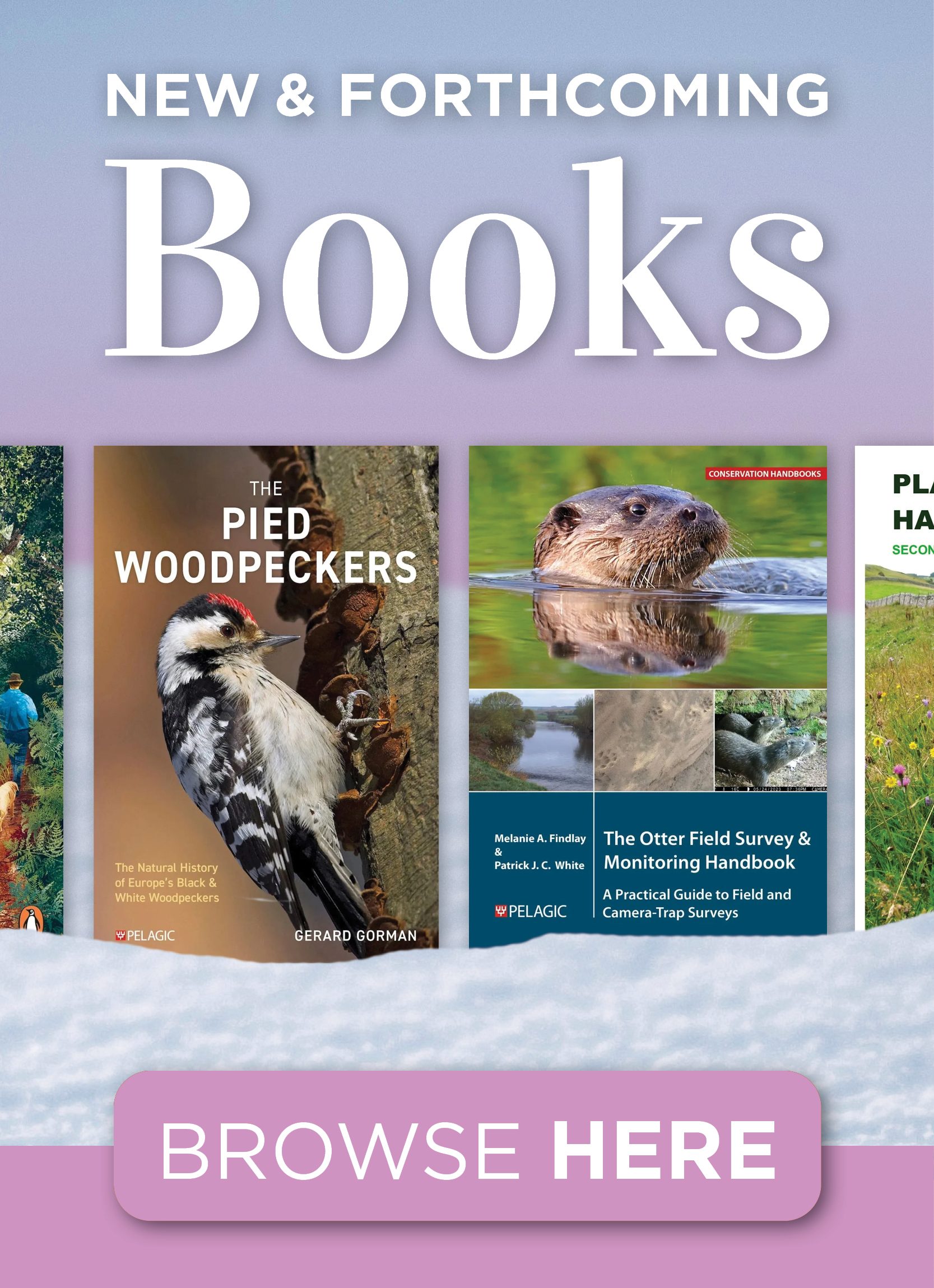 Zukai dai Jiten Shinkai Seibutsu [Illustrated Encyclopedia Deep