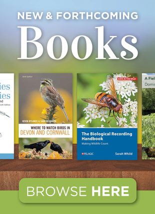 New and Forthcoming Books