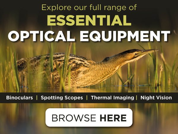 Essential Optical Equipment