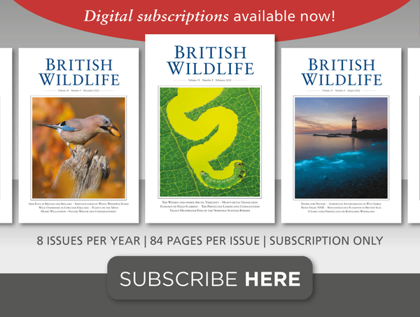 British Wildlife - the magazine for the modern naturalist. 
