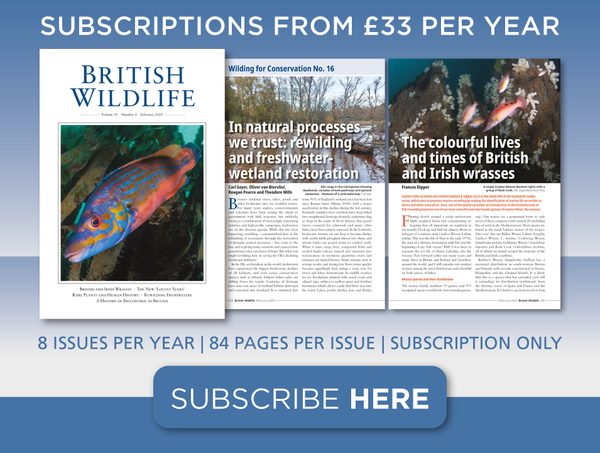 Fishing –   Your Source for British Magazine  Subscriptions