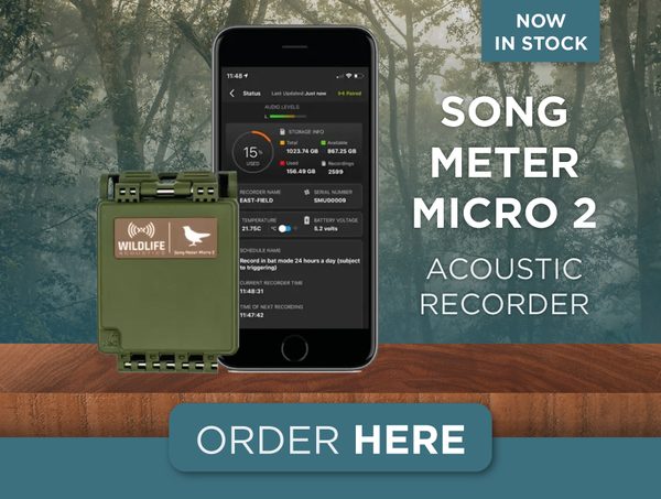 Song Meter Micro 2