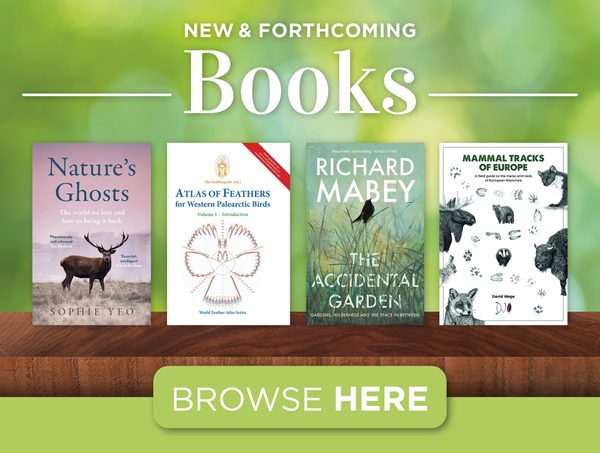 New & Forthcoming Books