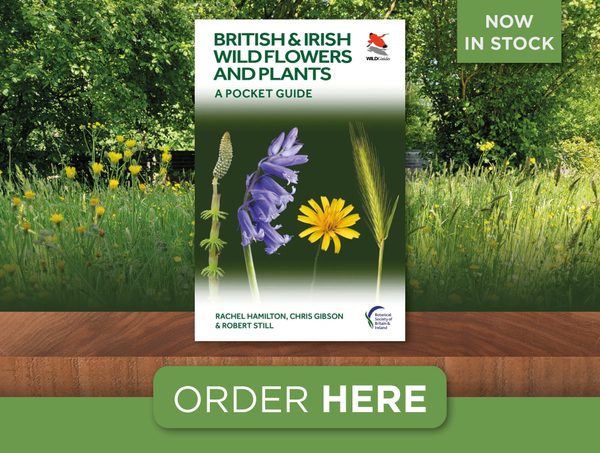 British and Irish Wildflowers and Plants