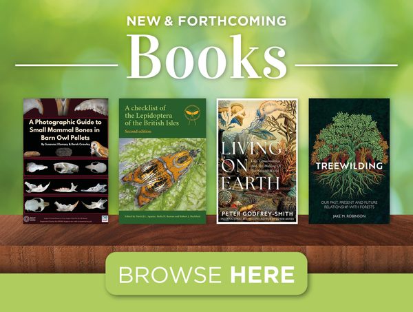 New & Forthcoming Books