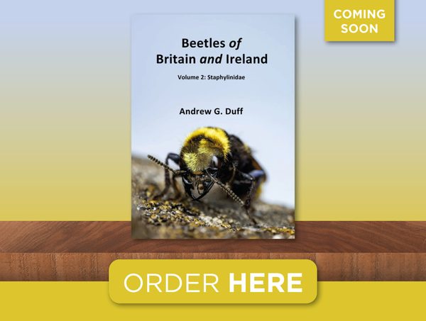 Beetles of Britain