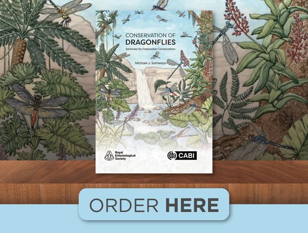 Conservation of Dragonflies