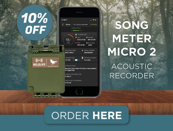 Song Meter Micro 2
