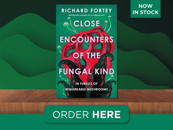 Close Encounters of the Fungal Kind