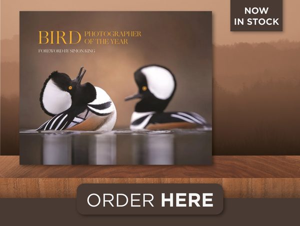 Bird Photographer of the Year 2024