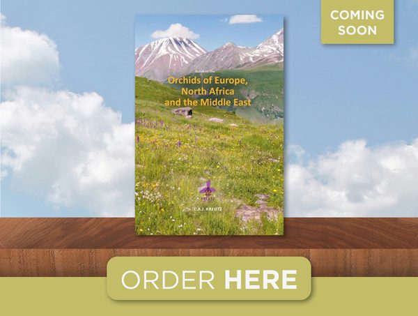 Orchids of Europe, North Africa and the Middle East