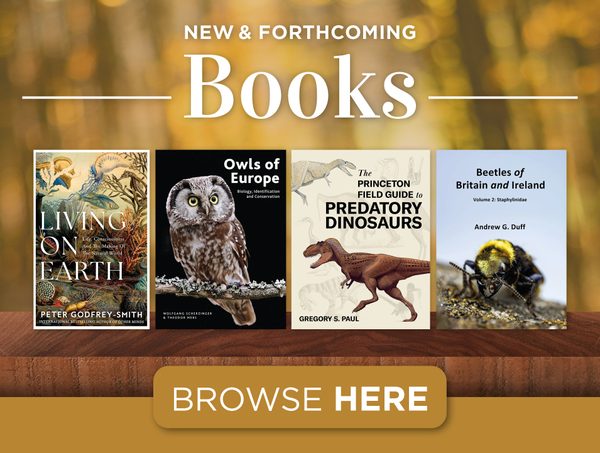 New & Forthcoming Books