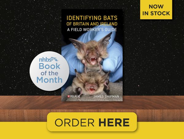 Identifying Bats of Britain and Ireland