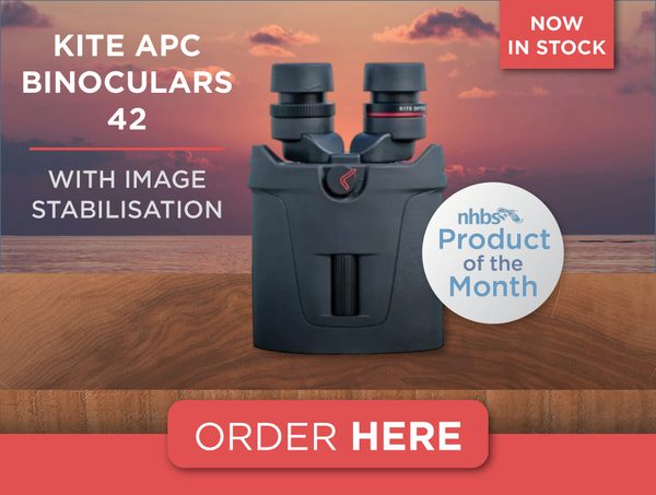 Product of the month