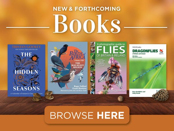 New & forthcoming books 