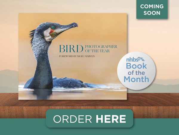 Book of the month