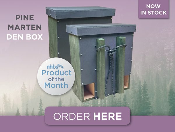 Product of the month