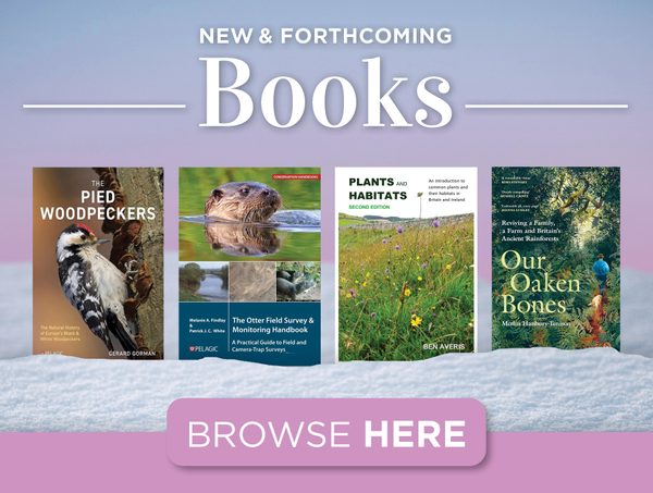 New & forthcoming books 