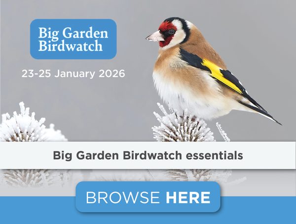 Big Garden Birdwatch