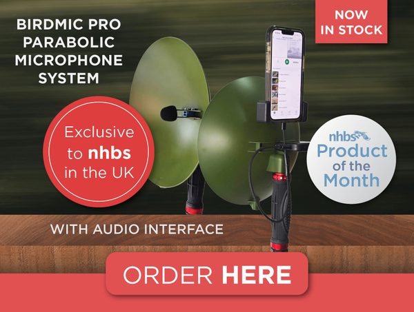 Product of the month