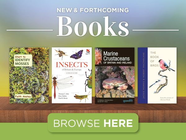 New & forthcoming books 