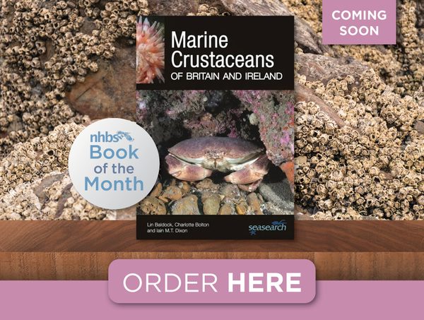 Book of the month