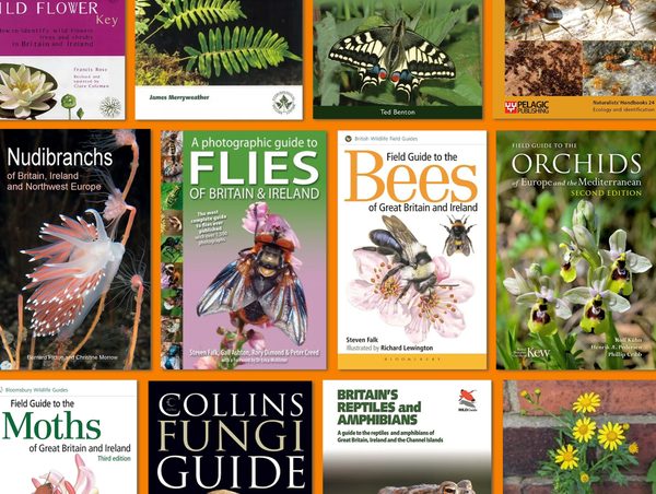 ecology essentials