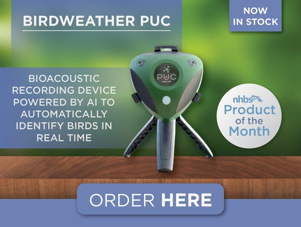 Product of the month