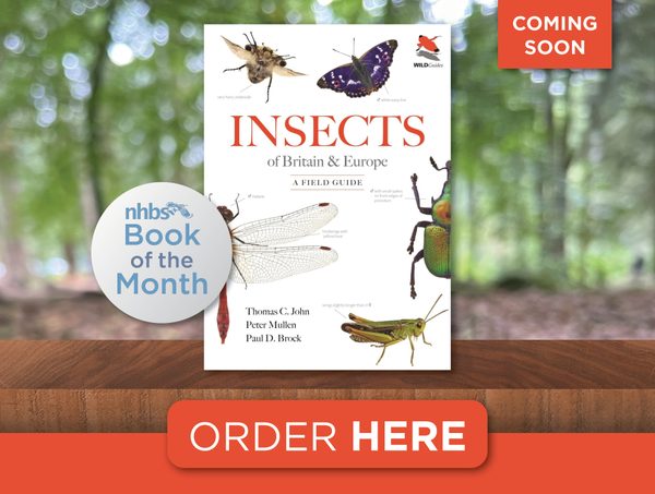 Book of the month