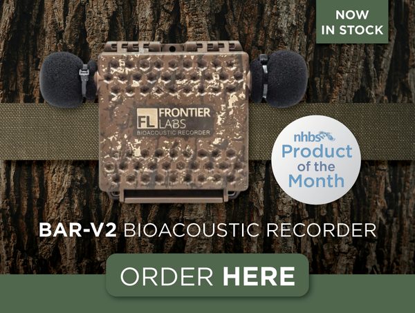Product of the month