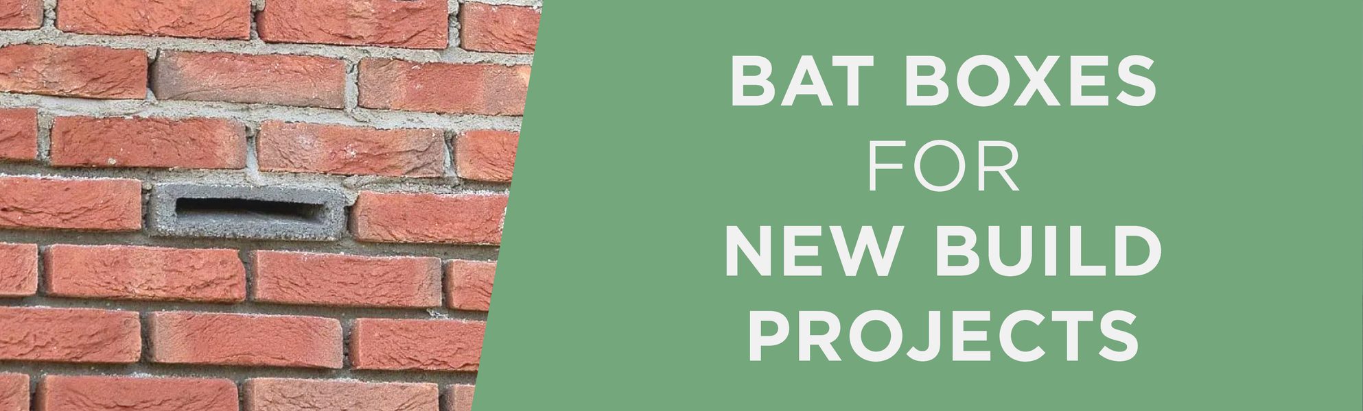 Bat Boxes Construction banner