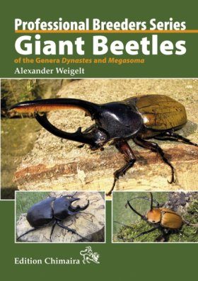 Giant Beetles of the Genera Dynastes and Megasoma | NHBS Academic