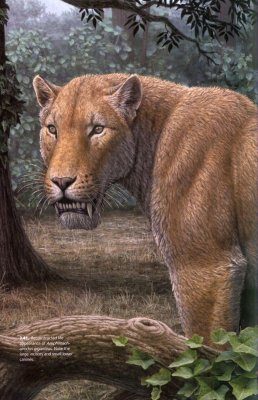 Sabertooth | NHBS Academic & Professional Books