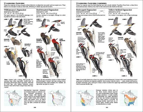 The Sibley Guide To Birds Nhbs Field Guides Amp Natural