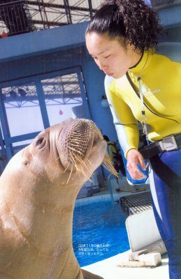 森丘ヒロキ ドルフィン Dolphin HIROKI MORIOKA CD 森丘ヒロキ