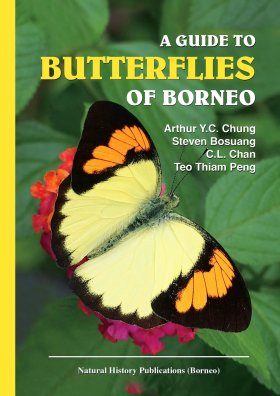 A Guide to Butterflies of Borneo | NHBS Field Guides & Natural History