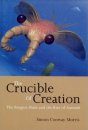 The Crucible of Creation
