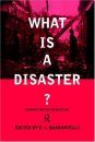What is a Disaster?
