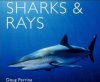 Sharks and Rays